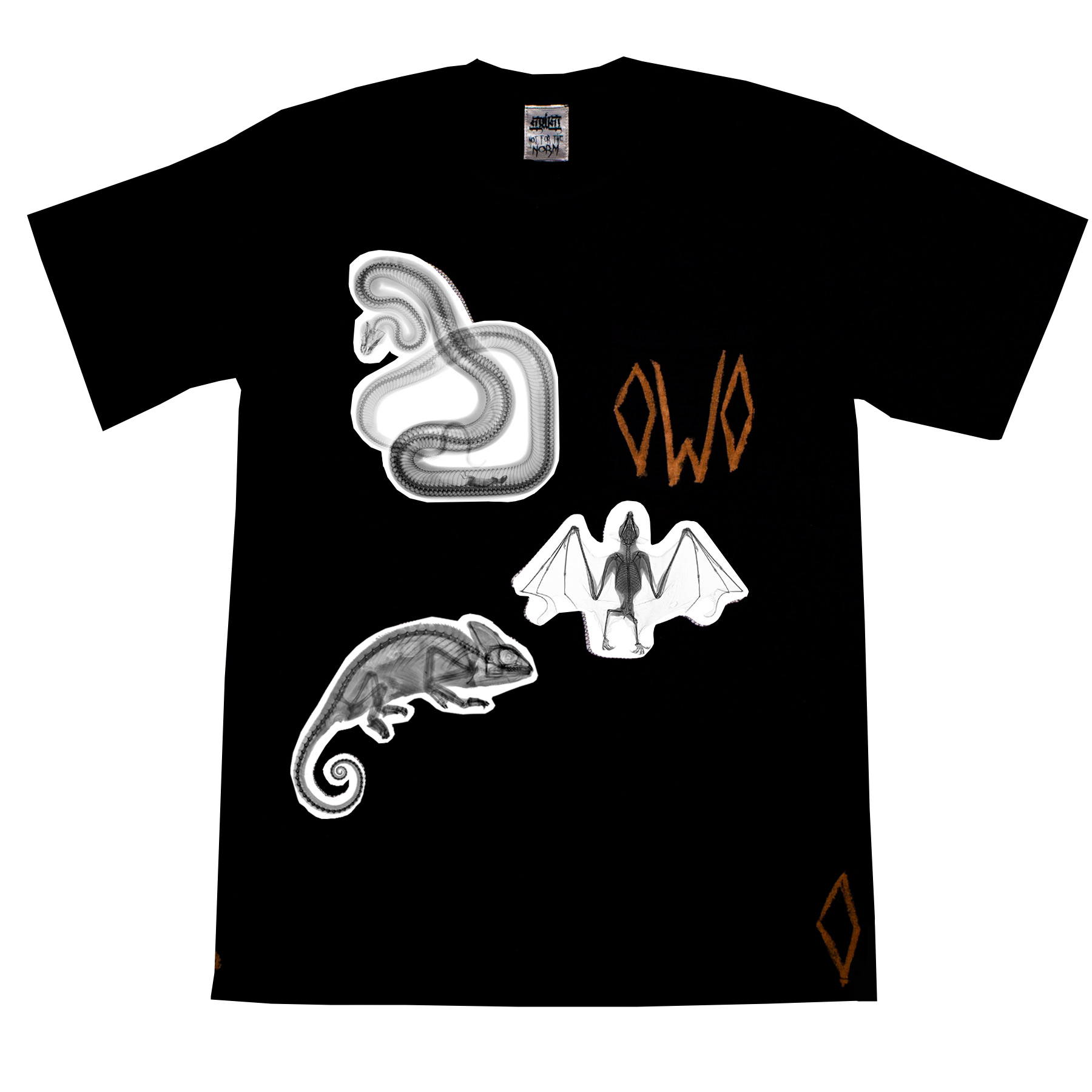 X-ray Vision image 0