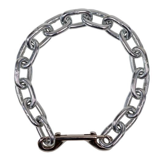 Metal chain collar on a white background