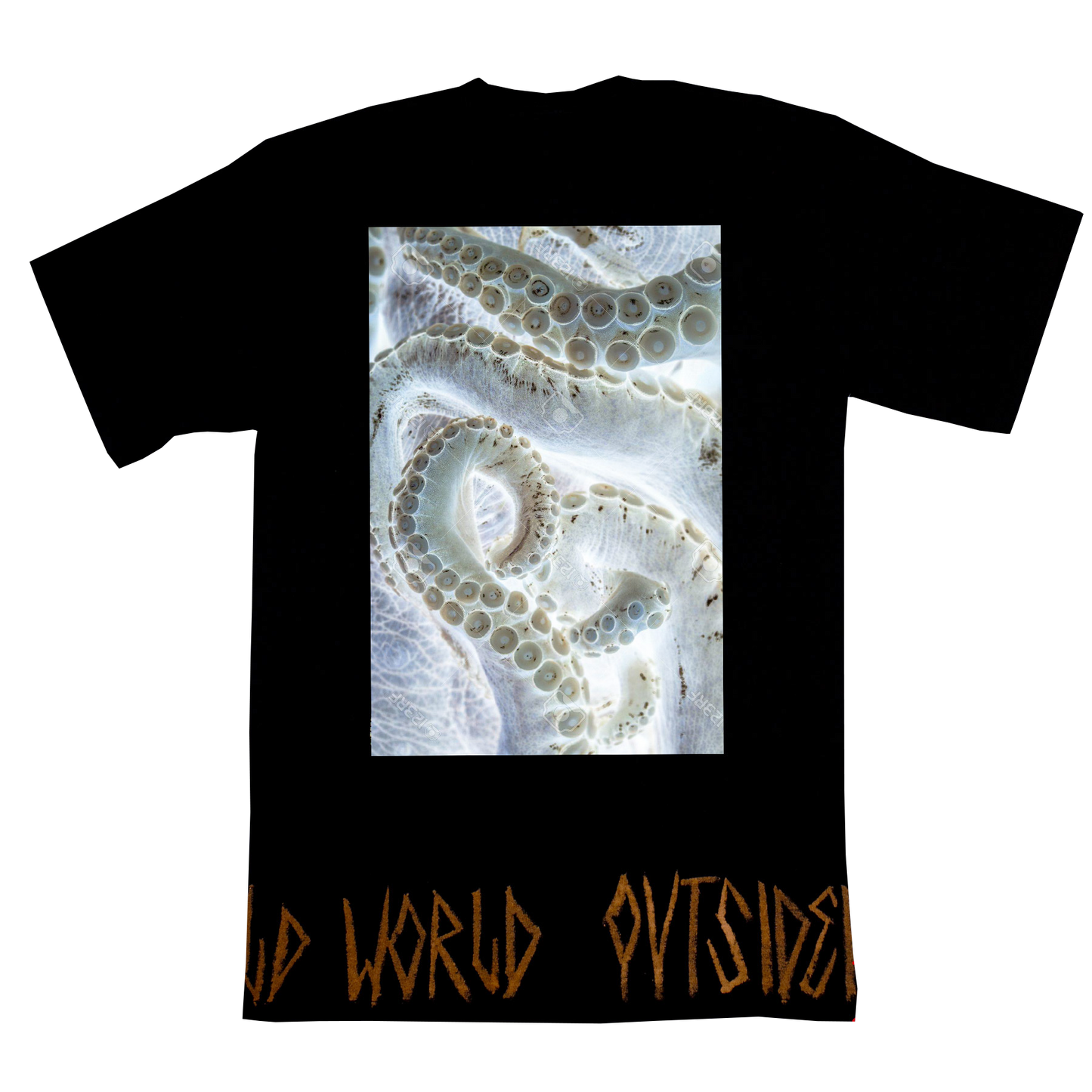 X-ray Vision image 1