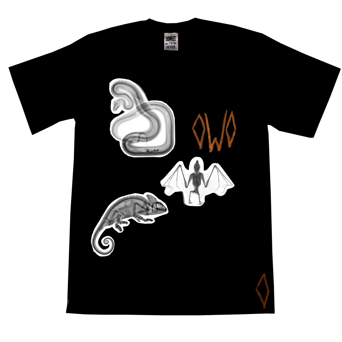 X-ray Vision image 0