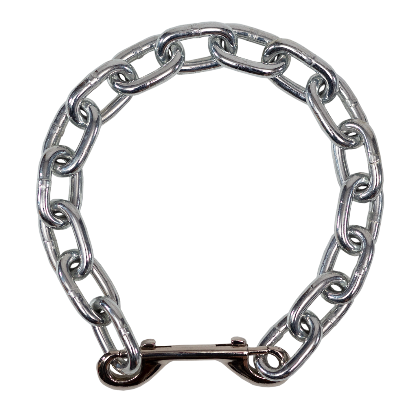 Metal chain collar on a white background