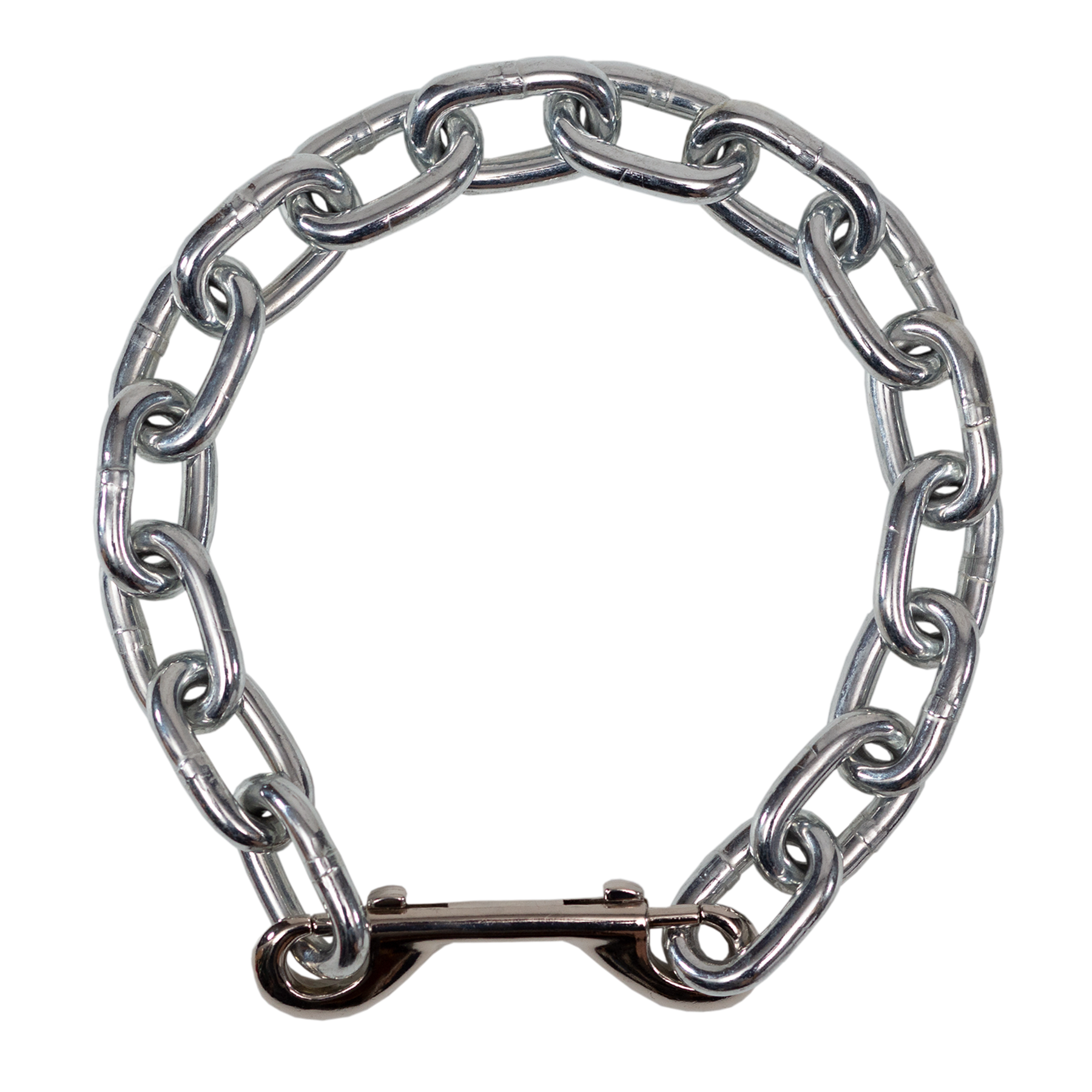 Metal chain collar on a white background